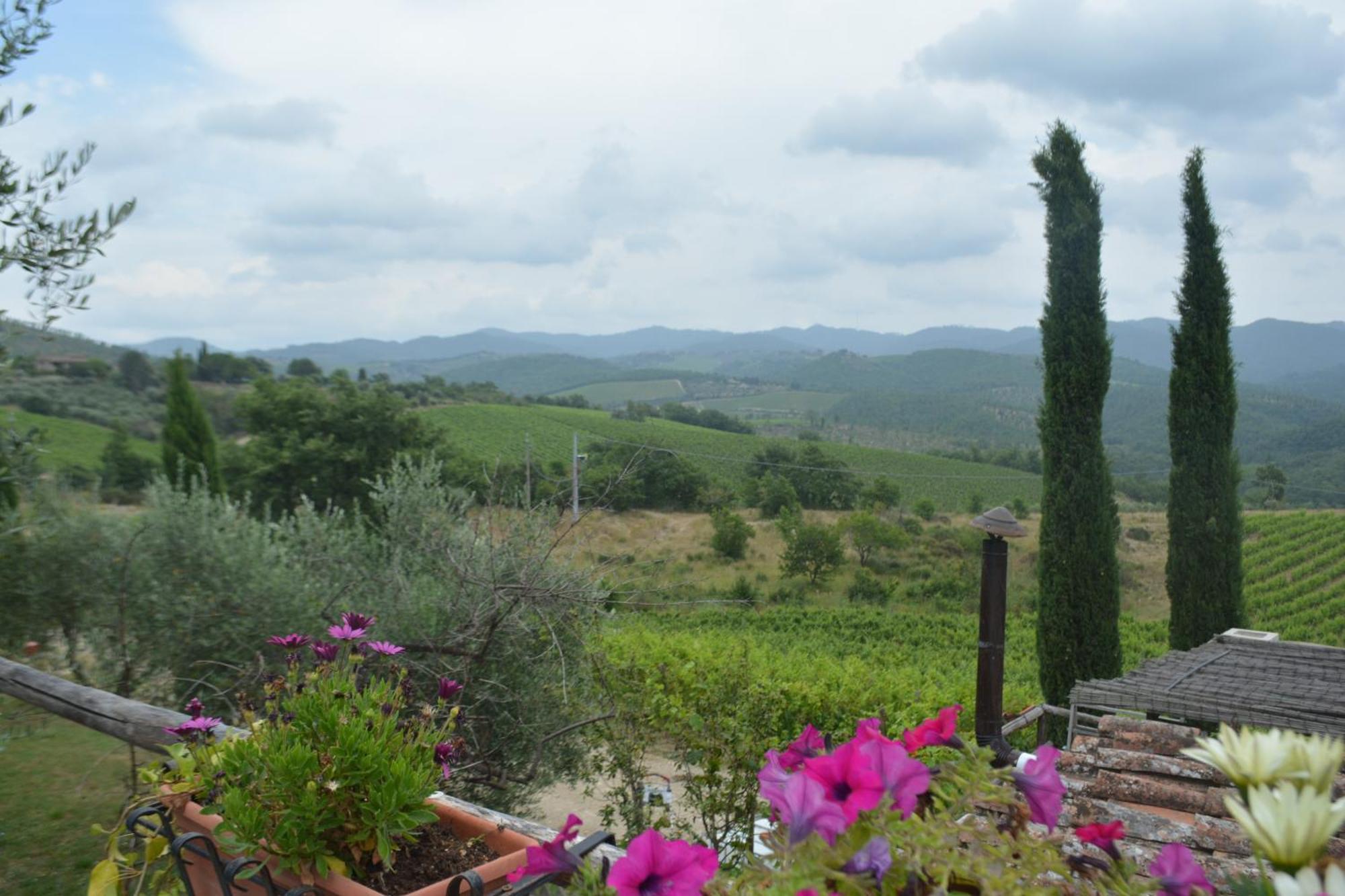 Celle Di Lecchi Nel Chianti Villa San Sano Kültér fotó