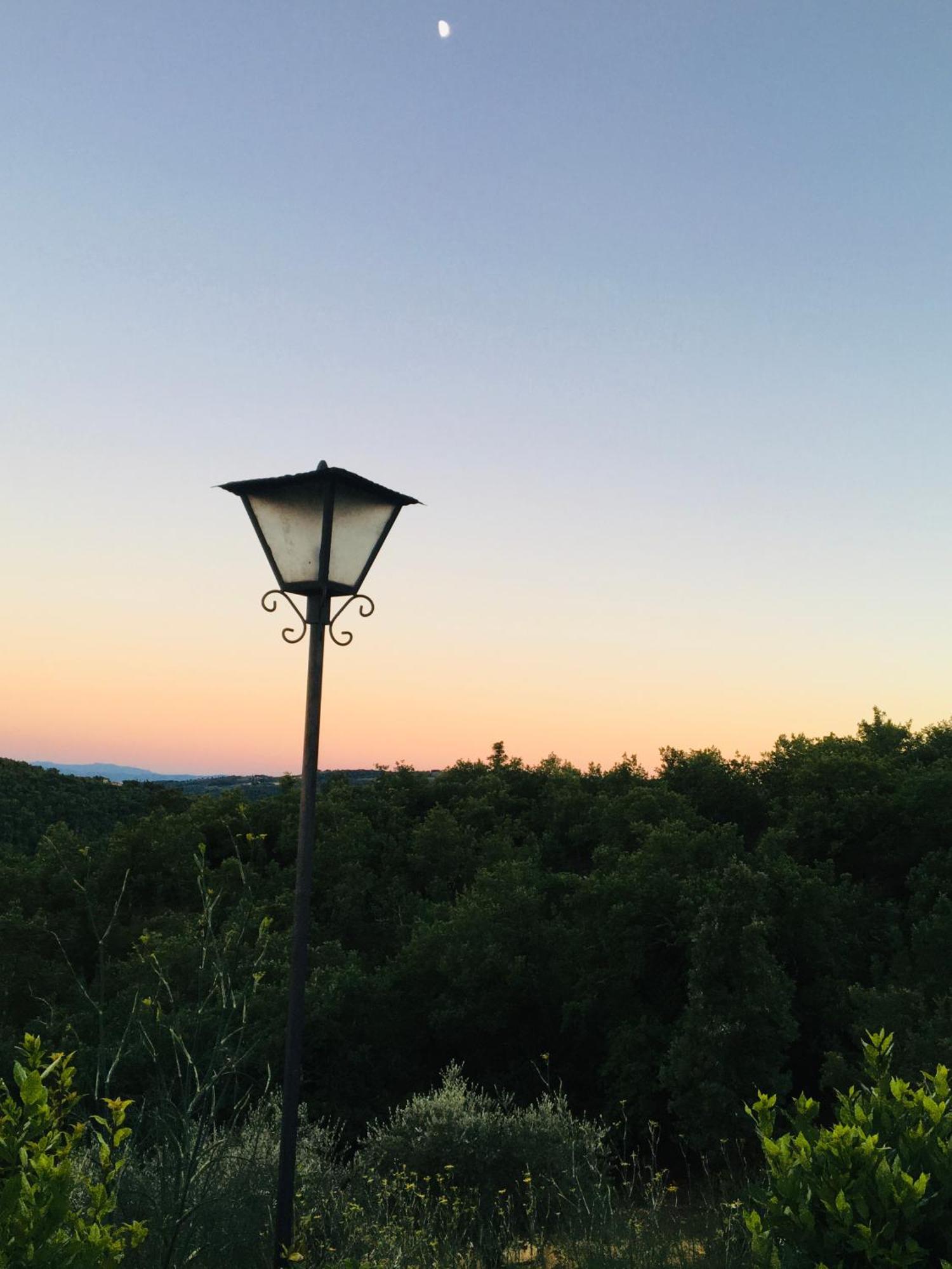 Celle Di Lecchi Nel Chianti Villa San Sano Kültér fotó