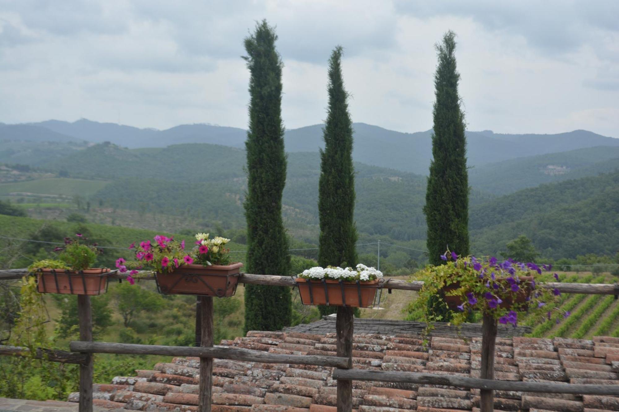 Celle Di Lecchi Nel Chianti Villa San Sano Kültér fotó